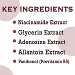 Thumbnail for download - 2024-11-01T105759.228