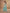 Aarshi Fashions Light Blue Palazzo Wedding Suit