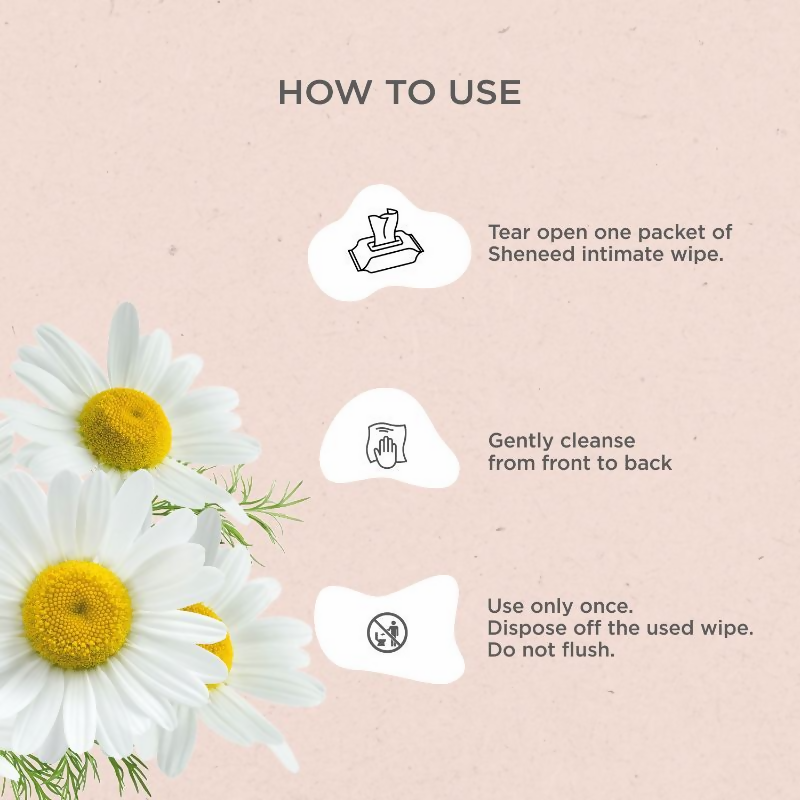 download - 2024-10-09T122511.360