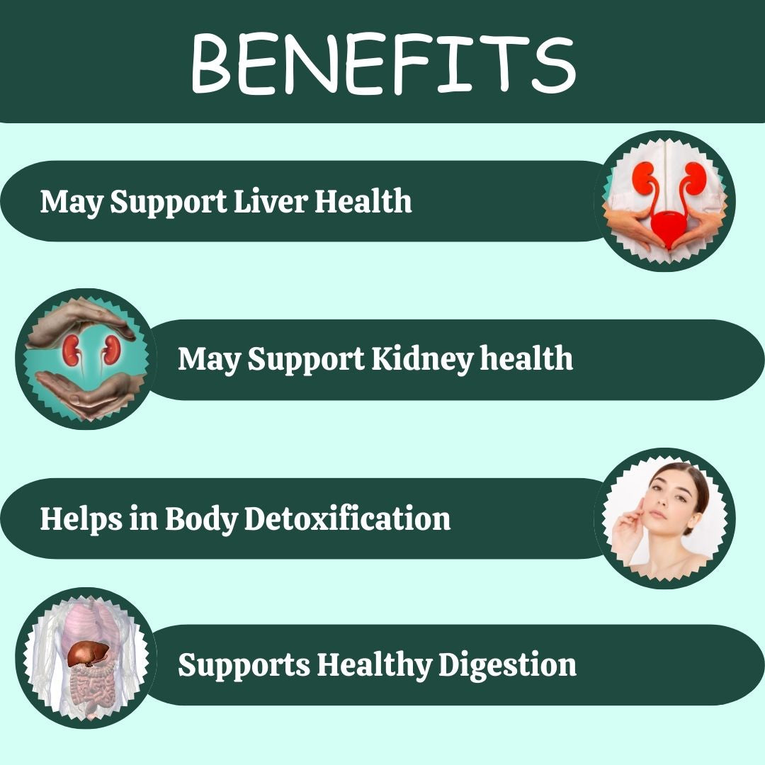 Herbal Hills Ayurveda Punarnavahills Capsules - Distacart