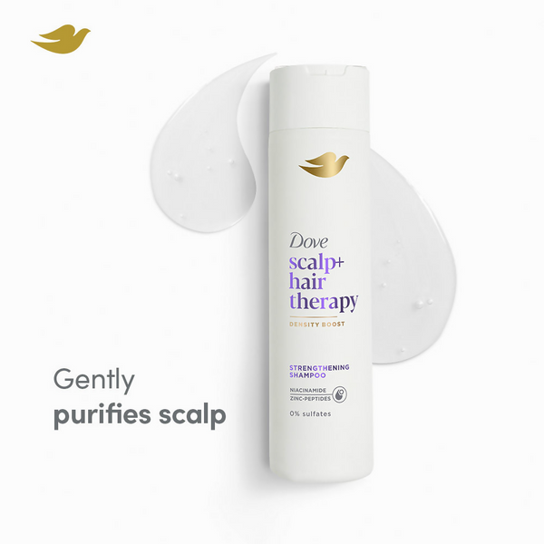 download - 2024-11-12T113744.567