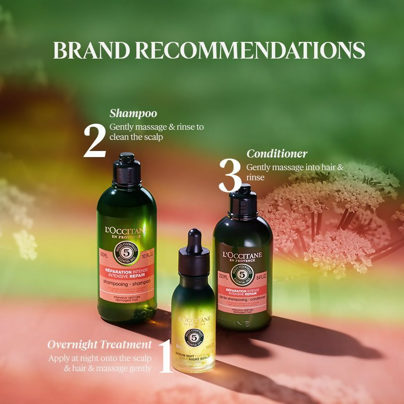 download - 2024-09-23T151121.895