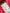 flower_213