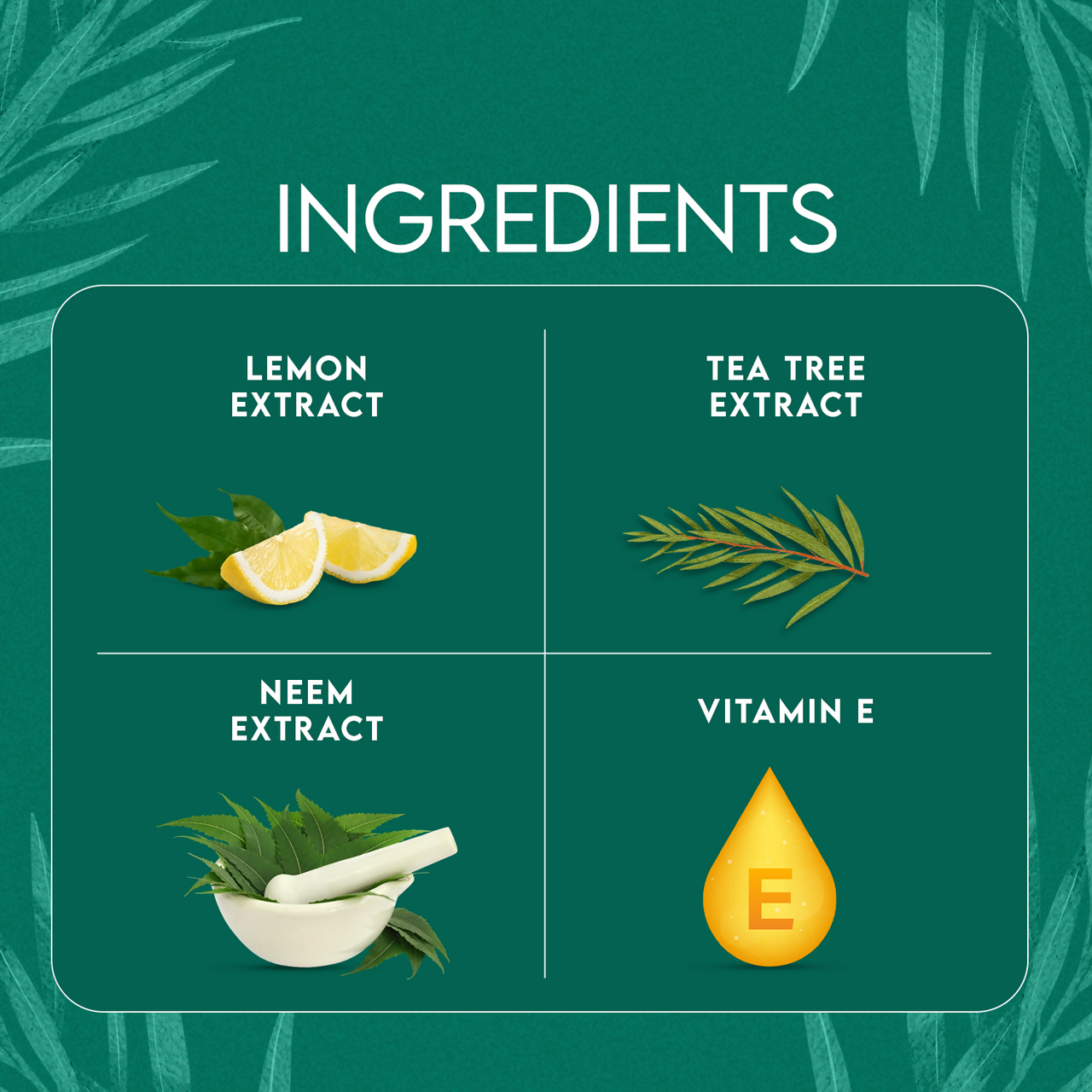 Jovees Tea Tree Oil Control Face Wash