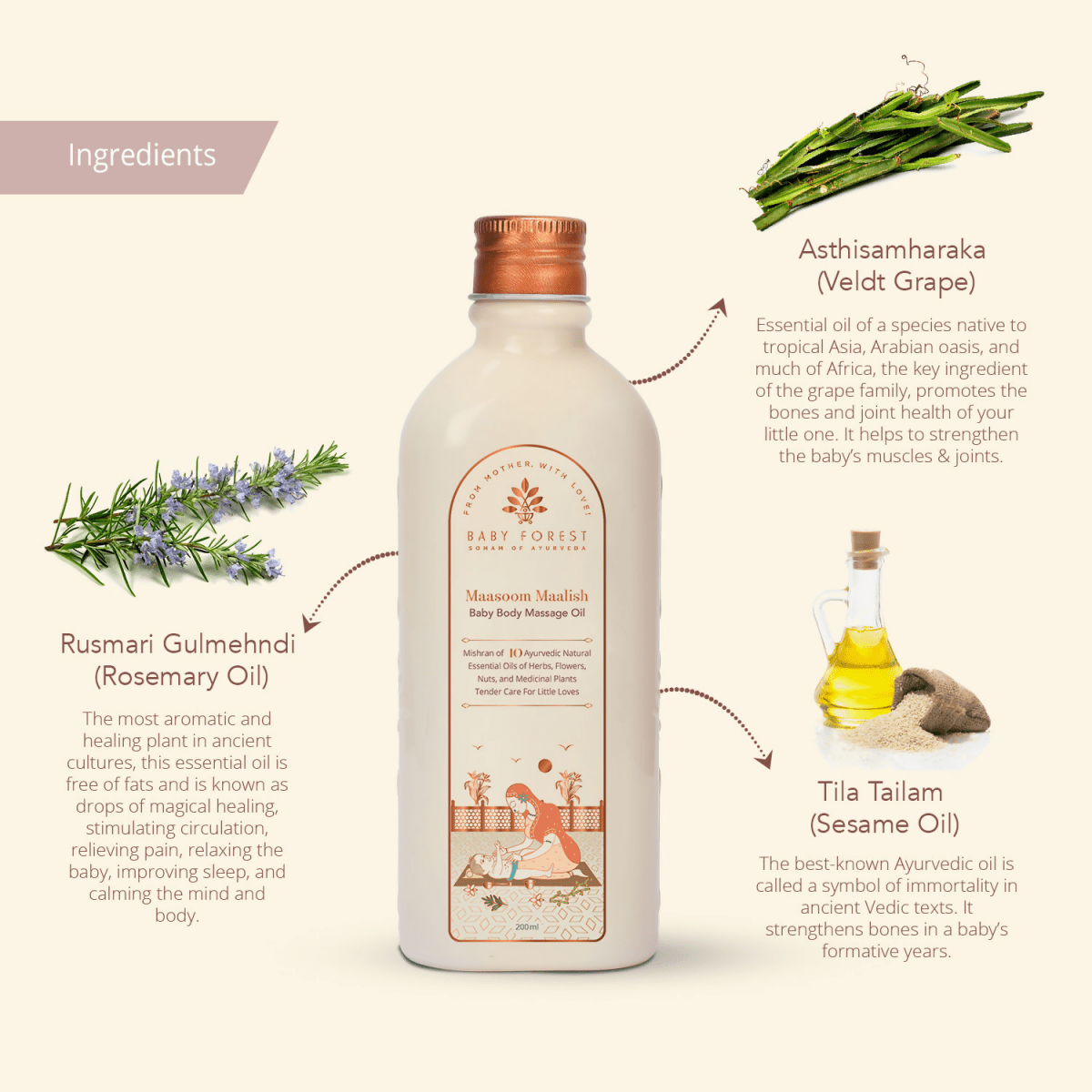 download - 2024-11-12T171934.867