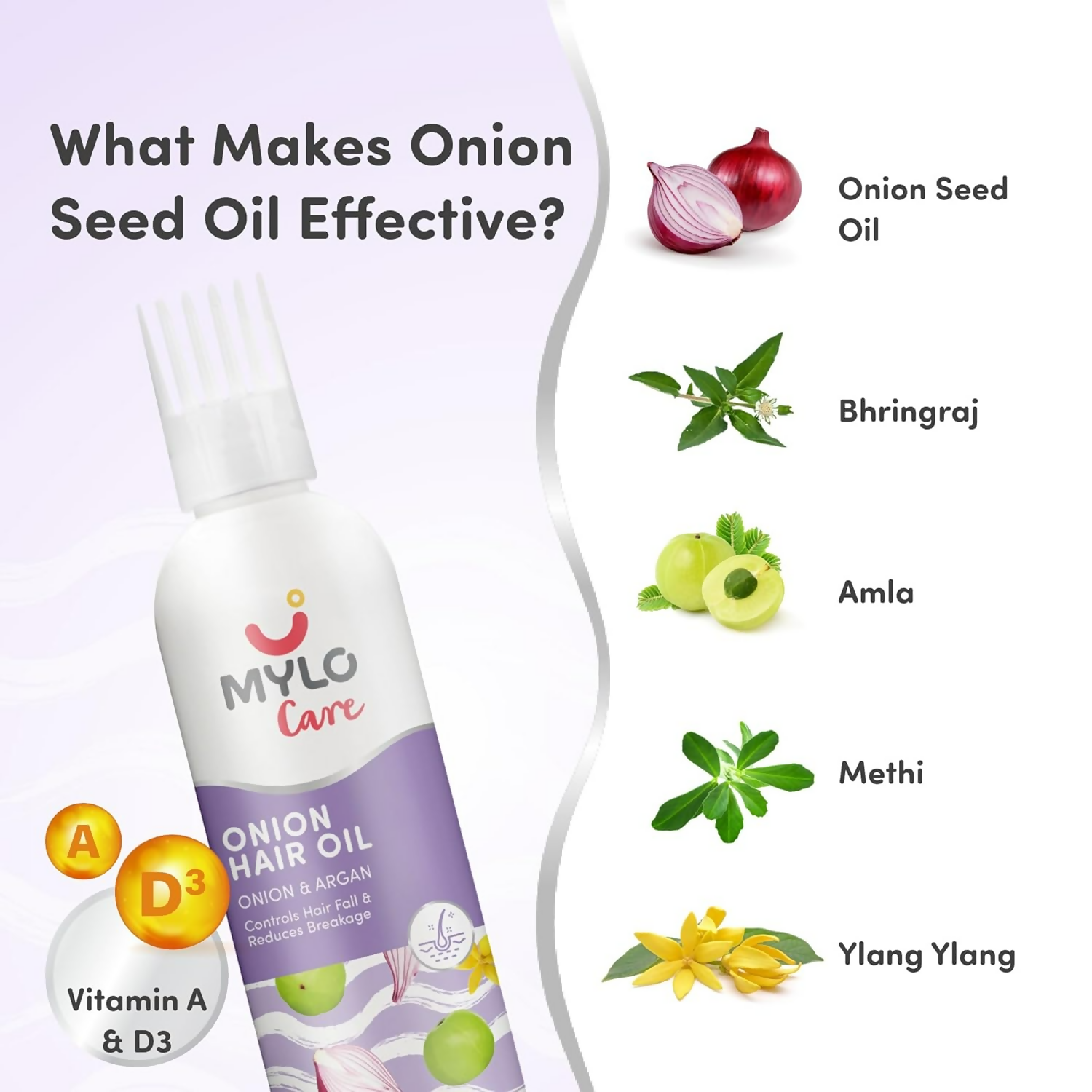 download - 2025-01-24T161215.120