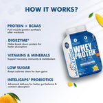 Thumbnail for Dr. Morepen Muscle Food Whey Protein