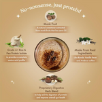 Thumbnail for download - 2024-12-16T102221.452