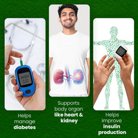 Thumbnail for Sheopal's Herbal Diabdex Diabetes Capsules