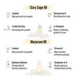 Thumbnail for Keya Seth Aromatherapy Alopex Long N Strong Hair Oil - Distacart