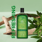 Thumbnail for The Man Company Aloe Vera & Matcha Body Wash For Glowing & Smooth Skin Enriched With Green Tea & Moringa Leaf Extract - Distacart