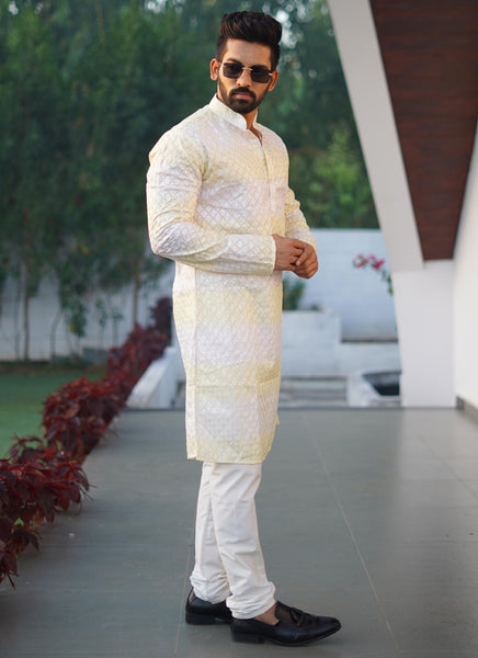 Prazu Fashion Light Green Cotton Embroidered Shading Print Kurta