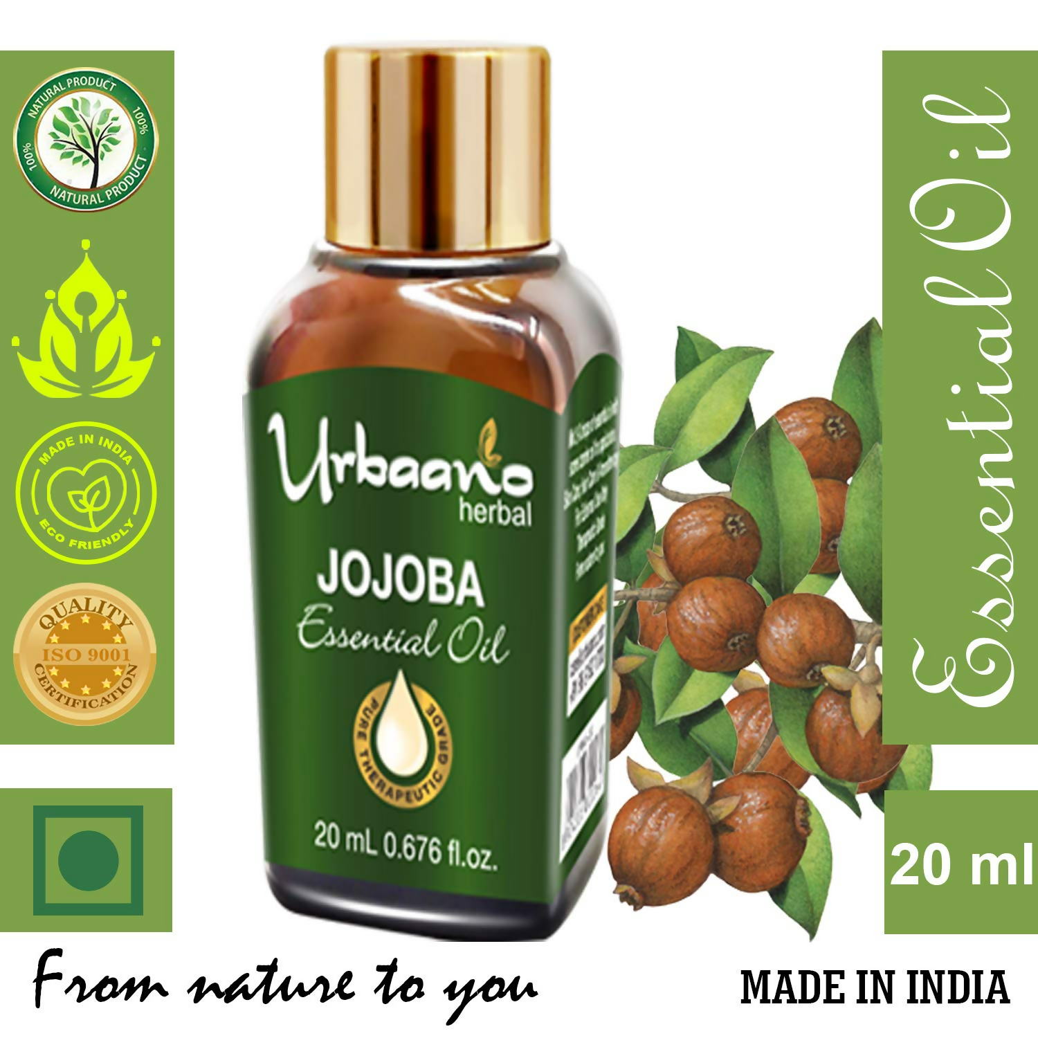 download - 2025-05-07T105322.827