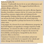 Thumbnail for 81dMS17aRHL