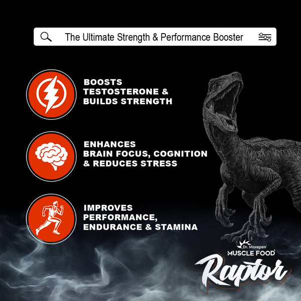 Dr. Morepen Raptor