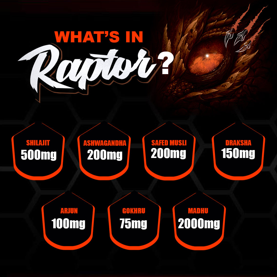 Dr. Morepen Raptor