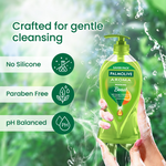 Thumbnail for download - 2024-10-26T190027.353