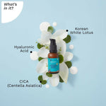 Thumbnail for Pilgrim White Lotus Sunscreen Serum SPF 50 PA+++ - Distacart