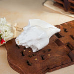 Thumbnail for Sri Rudra Blowing Shank Big (SR 03095) - Distacart