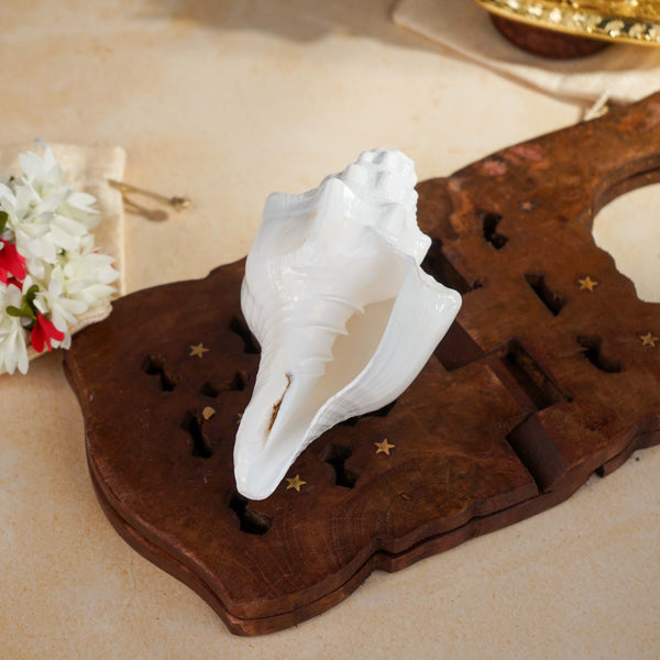 Sri Rudra Blowing Shank Big (SR 03095) - Distacart