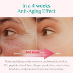 Thumbnail for download - 2025-02-25T115824.368