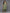 Ahalyaa Women's Traditional wear Kurta Set - Green - Distacart