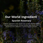Thumbnail for Pilgrim Spanish Rosemary & Biotin Hair Growth Oil To Control Hair Fall & Strengthens Hair - Distacart