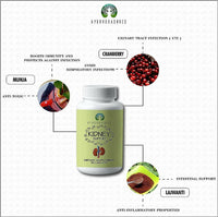Thumbnail for Ayurvedashree Kidney Support Caplets - Distacart