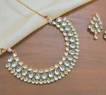 Thumbnail for flower_186