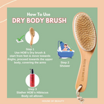 Thumbnail for download - 2024-10-18T125315.069