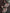 flower_270 (1)