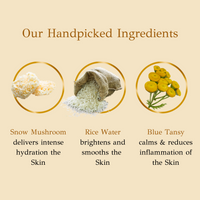 Thumbnail for dBasic Hydra Boosting Gel, Lightweight Moisturizer with Snow Mushroom, Rice Water, Ceramides - Distacart