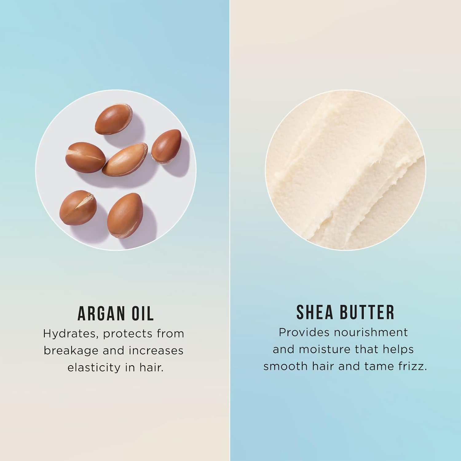 HASK Argan Oil Repairing Conditioner - Distacart