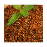 Thumbnail for Amoga's Pickles Factory Mint Leaves Karam Podi - Distacart