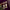 flower_244
