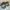 flower_231
