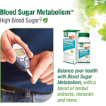 Thumbnail for Blood Sugar Metabolism 04