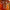 flower_245