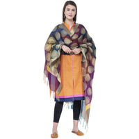 Thumbnail for A R Silk Women's Zari Embroidery With Rainbow Colour Vanarsi Silk Rainbow Multi Dupattas and Chunnis