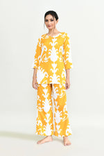 Thumbnail for DSC_3547