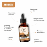 Thumbnail for download - 2024-11-07T105657.569