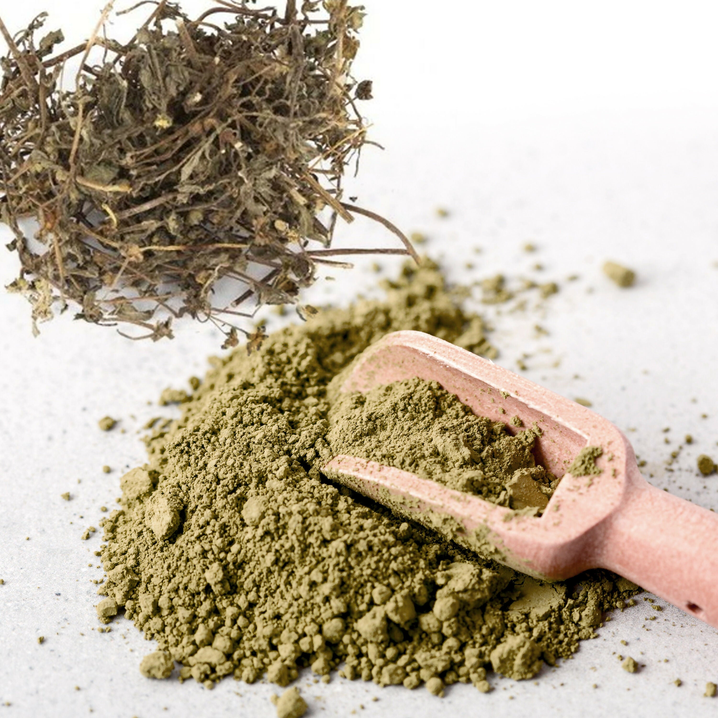 Bhrigaraj powder_BNN_powder 02