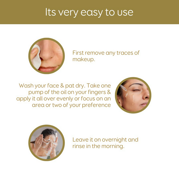 download - 2024-12-31T164532.461