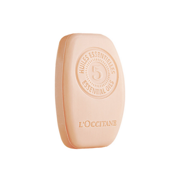 download - 2024-09-21T193513.775