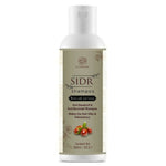 Thumbnail for Al Masnoon Sidr Shampoo - Distacart