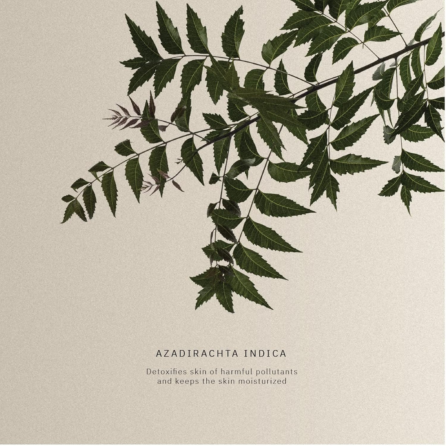 download - 2024-10-05T185248.062