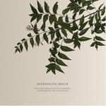 Thumbnail for download - 2024-10-05T185248.062