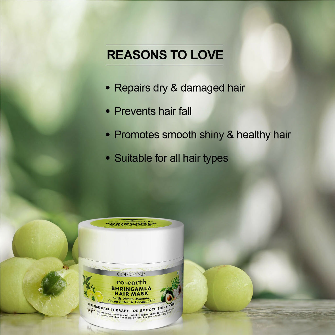 Colorbar Co-Earth Bhringamla Hair Mask - Distacart