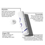 Thumbnail for 61qHv0YNhfL