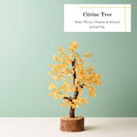 Thumbnail for B 300TREE CI (2)